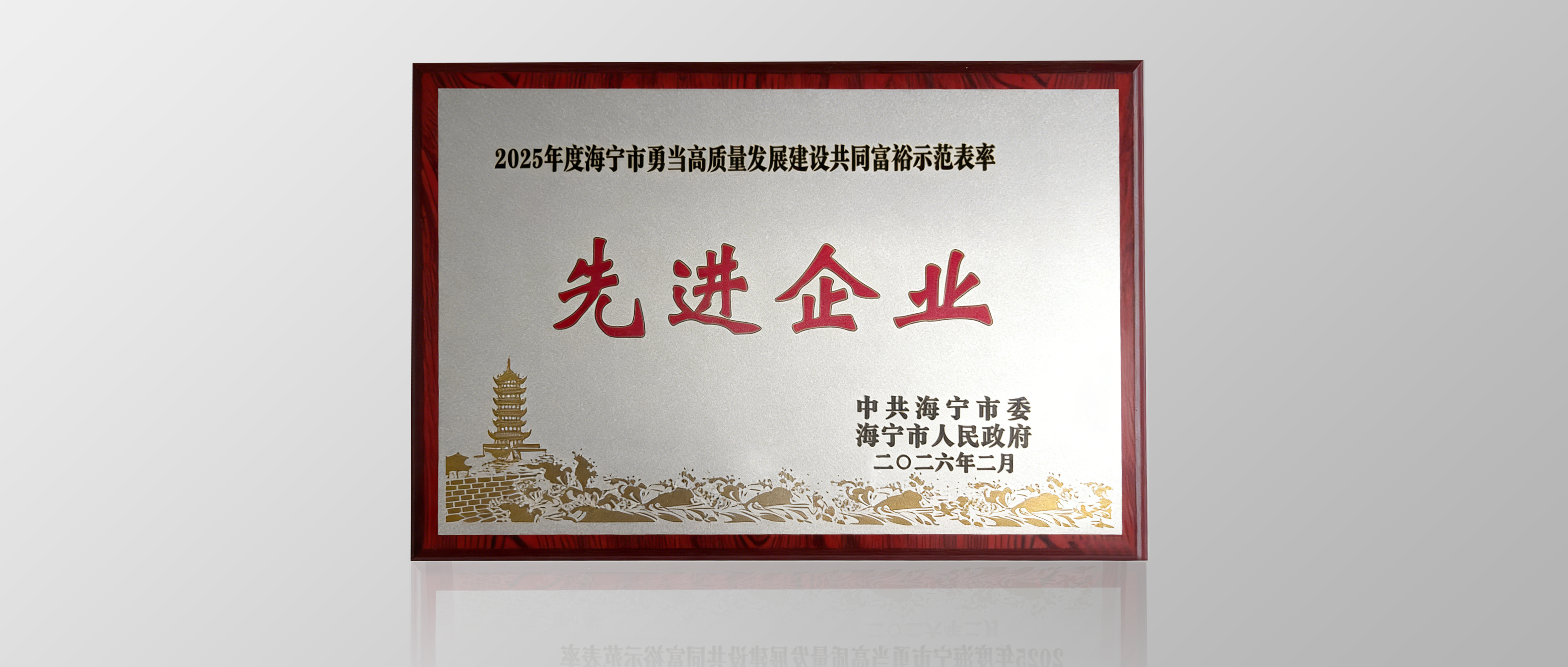 蔚能获海宁市“先进企业”荣誉称号